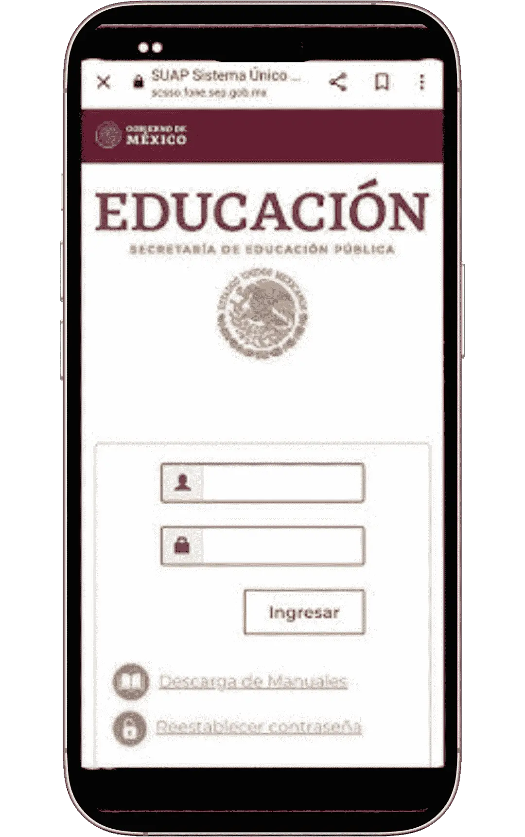 MI portal fone sep