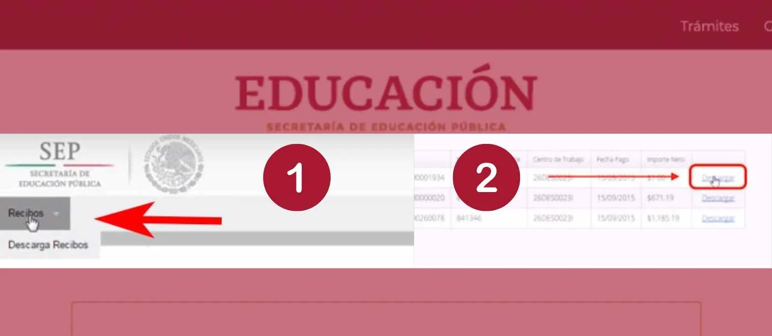 Descarga de recibos SEP de mi portal fone